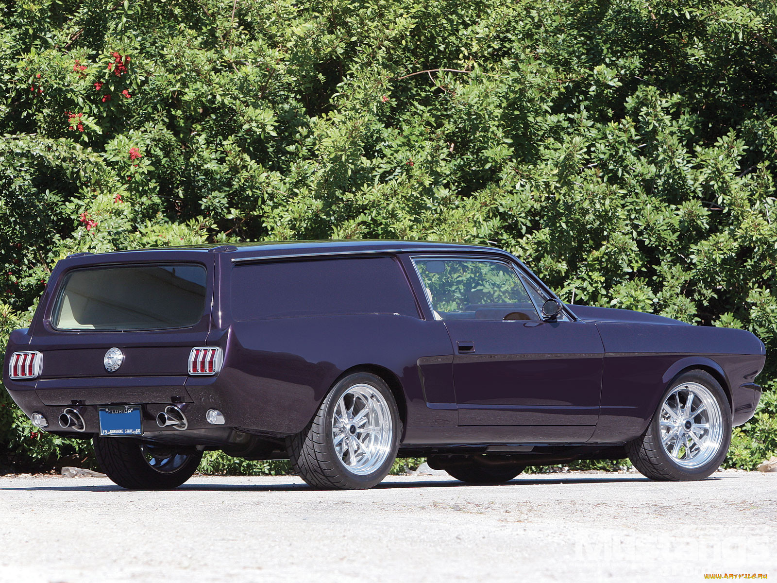 1967, shelby, gt, 500, , mustang